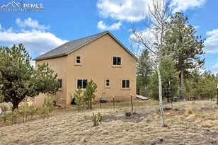 38 Kingston Dr, Florissant, CO 80816 - Photo 35