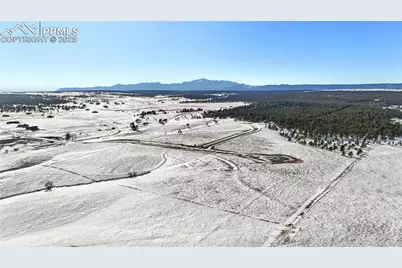 10698 Alamar Way, Colorado Springs, CO 80908 - Photo 31