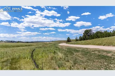 10698 Alamar Way, Colorado Springs, CO 80908 - Photo 7
