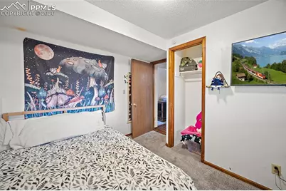 3175 Deliverance Drive, Colorado Springs, CO 80918 - Photo 25