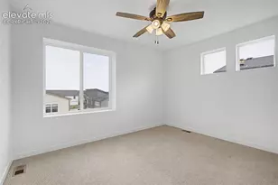 6717 Lily Mountain Ln, Colorado Springs, CO 80923 - Photo 29