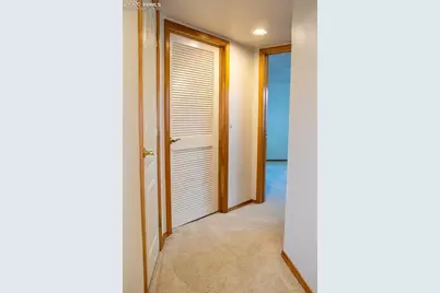 698 Larimer Creek Drive, Monument, CO 80132 - Photo 33