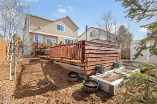 14154 Tern Dr, Colorado Springs, CO 80921 - Photo 39