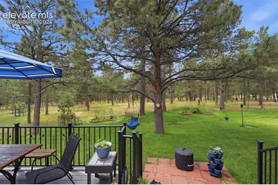 14355 Rankin Road, Elbert, CO 80106 - Photo 41