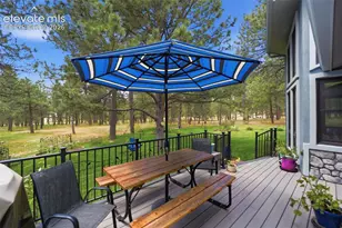 14355 Rankin Rd, Elbert, CO 80106 - Photo 39