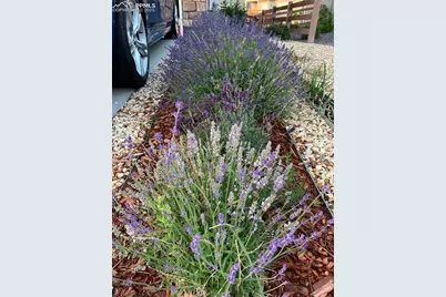 6210 Stonefly Drive, Colorado Springs, CO 80924 - Photo 39