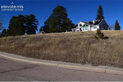 108 Allison Place, Divide, CO 80814 - Photo 15