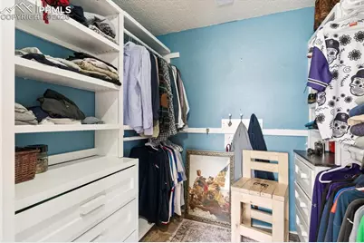 15711 Lacuna Drive, Monument, CO 80132 - Photo 29