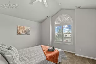 334 Green Rock Pl, Monument, CO 80132 - Photo 29