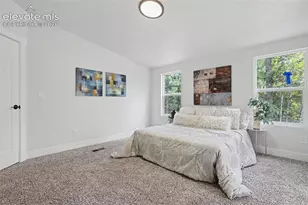 151 Banner Trail, Florissant, CO 80816 - Photo 23