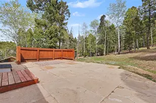 151 Banner Trail, Florissant, CO 80816 - Photo 45