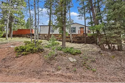 151 Banner Trail, Florissant, CO 80816 - Photo 3