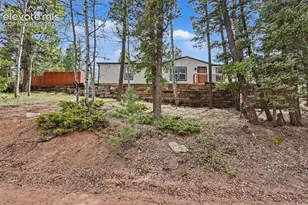 151 Banner Trail, Florissant, CO 80816 - Photo 3