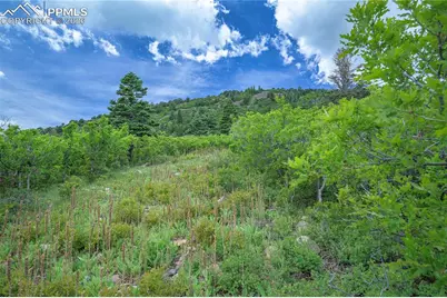 66 Highway 160, La Veta, CO 81055 - Photo 11