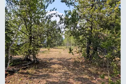 Fairview Drive, Cripple Creek, CO 80813 - Photo 5