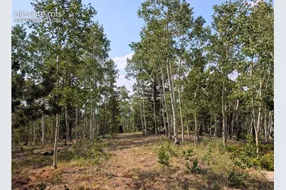 Fairview Drive, Cripple Creek, CO 80813 - Photo 9