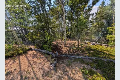 Fairview Drive, Cripple Creek, CO 80813 - Photo 17