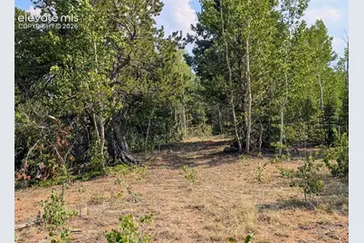 Fairview Drive, Cripple Creek, CO 80813 - Photo 11