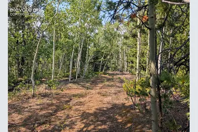Fairview Drive, Cripple Creek, CO 80813 - Photo 7