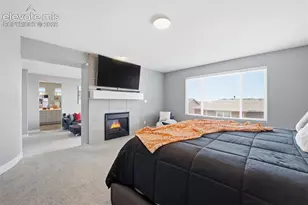 7661 Dry Willow Wy, Colorado Springs, CO 80908 - Photo 19