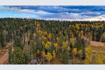 166 Denwood Drive, Florissant, CO 80816 - Photo 15