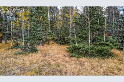 166 Denwood Drive, Florissant, CO 80816 - Photo 5
