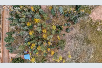 166 Denwood Drive, Florissant, CO 80816 - Photo 9