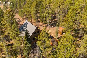 1253 E Bison Creek Trail, Divide, CO 80814 - Photo 37
