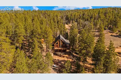 1253 E Bison Creek Trail, Divide, CO 80814 - Photo 35