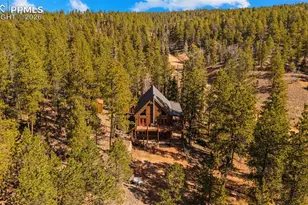 1253 E Bison Creek Trail, Divide, CO 80814 - Photo 35