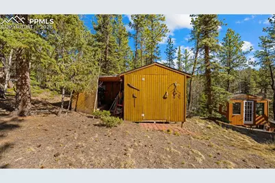 1253 E Bison Creek Trail, Divide, CO 80814 - Photo 29