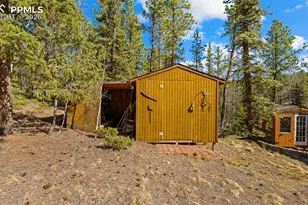 1253 E Bison Creek Trail, Divide, CO 80814 - Photo 29