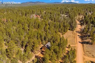 1253 E Bison Creek Trail, Divide, CO 80814 - Photo 41