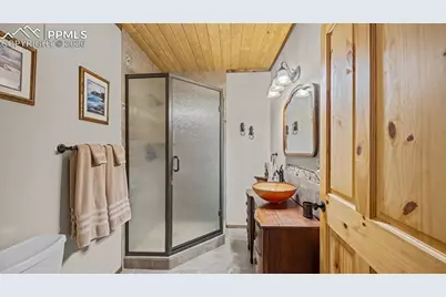 1253 E Bison Creek Trail, Divide, CO 80814 - Photo 21