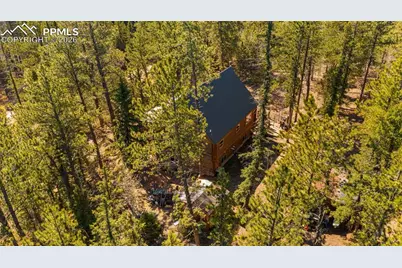 1253 E Bison Creek Trail, Divide, CO 80814 - Photo 39