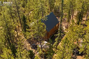 1253 E Bison Creek Trail, Divide, CO 80814 - Photo 39