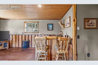 1253 E Bison Creek Trail, Divide, CO 80814 - Photo 25