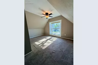 220 Willow Street, Colorado Springs, CO 80903 - Photo 9