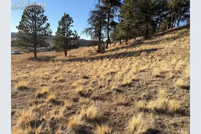 71 Elkhorn Circle, Florissant, CO 80816 - Photo 9