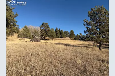 71 Elkhorn Circle, Florissant, CO 80816 - Photo 7