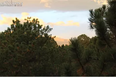 5810 Spurwood Court, Colorado Springs, CO 80918 - Photo 15