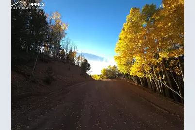 899 Little Topsey Drive, Cripple Creek, CO 80813 - Photo 3