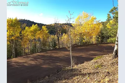 899 Little Topsey Drive, Cripple Creek, CO 80813 - Photo 21