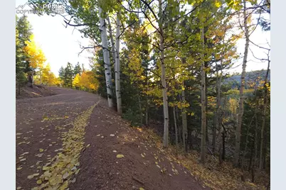 899 Little Topsey Drive, Cripple Creek, CO 80813 - Photo 15