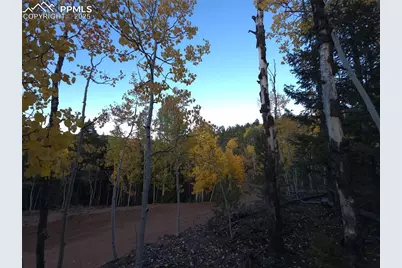 899 Little Topsey Drive, Cripple Creek, CO 80813 - Photo 13