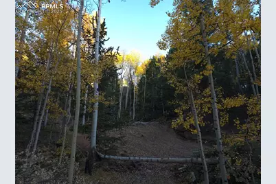 899 Little Topsey Drive, Cripple Creek, CO 80813 - Photo 7