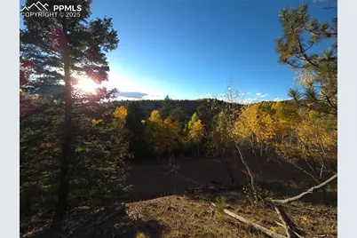 899 Little Topsey Drive, Cripple Creek, CO 80813 - Photo 23