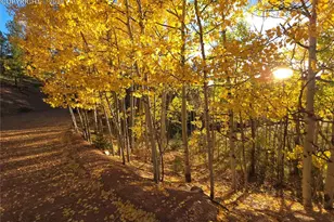 899 Little Topsey Dr, Cripple Creek, CO 80813 - Photo 1