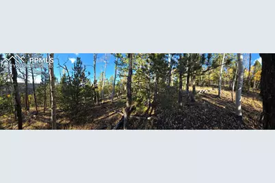 899 Little Topsey Drive, Cripple Creek, CO 80813 - Photo 25