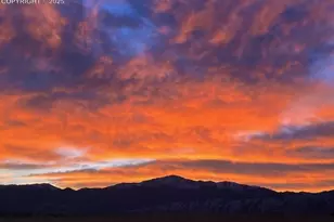 3978 Pronghorn Meadows Cir, Colorado Springs, CO 80922 - Photo 5